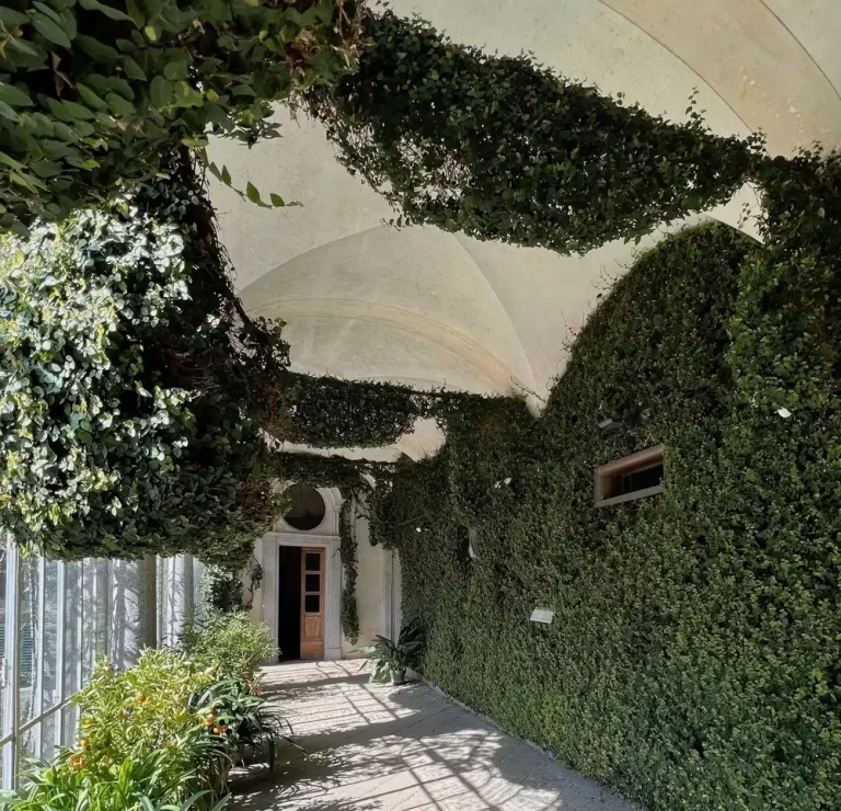 01_FICUS