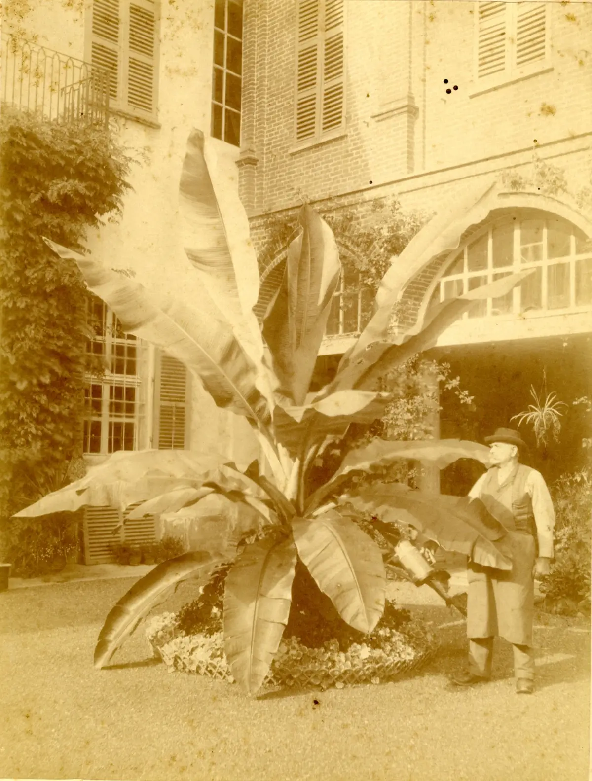 Giardiniere_taglio