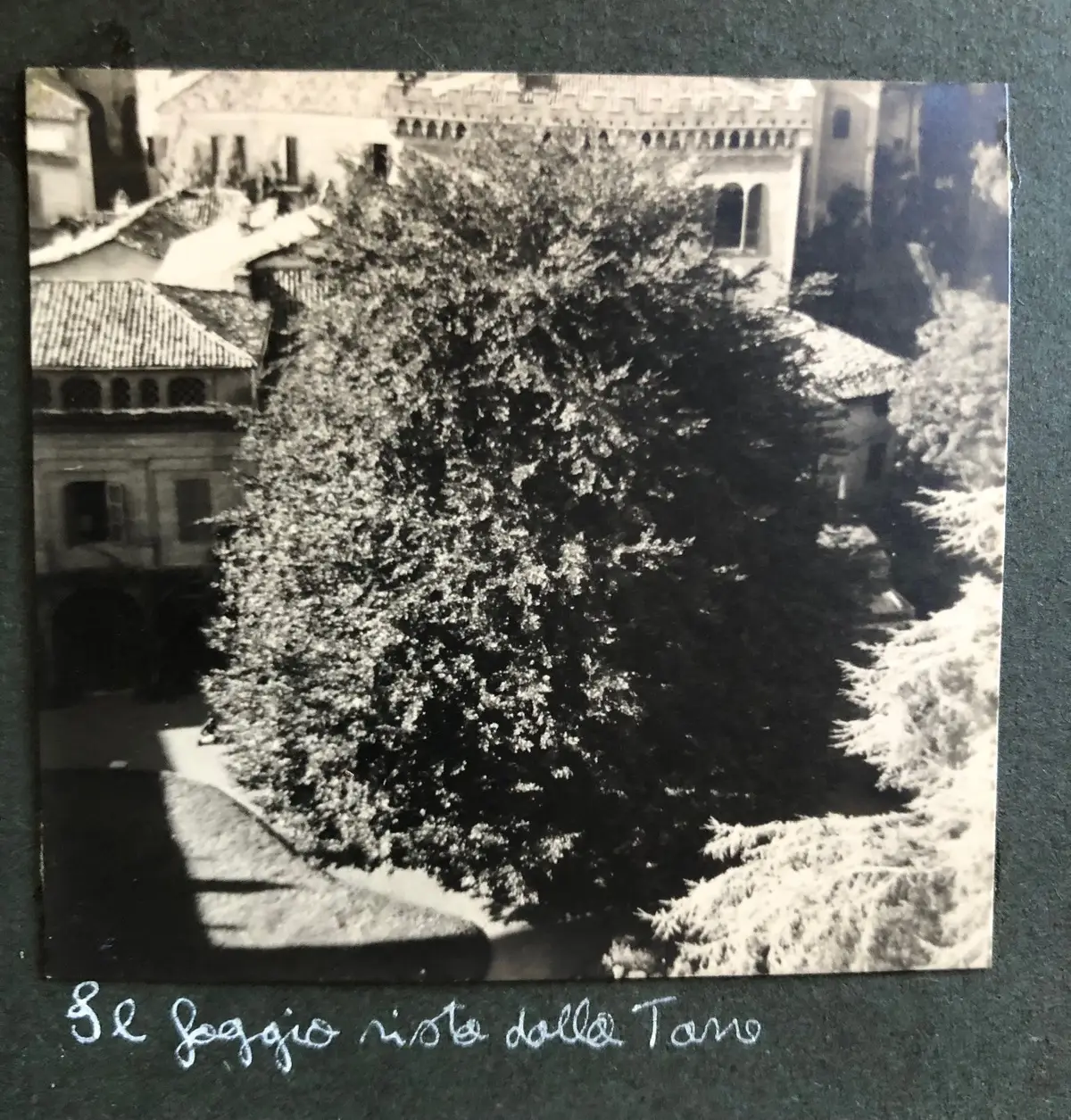 Unknown-2
